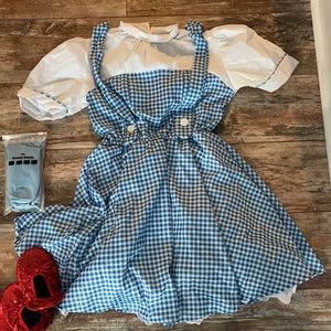 Dorothy from Wizard of Oz Costume